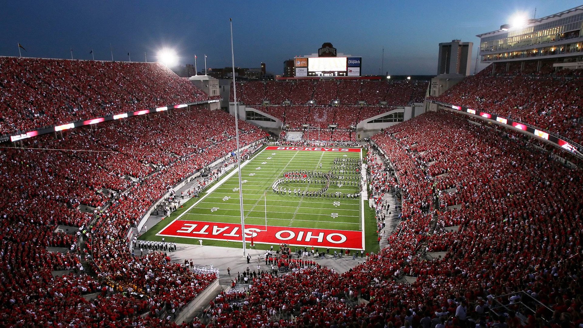 “马丁·高尔西引领美洲狮队防守革命，全面崛起”